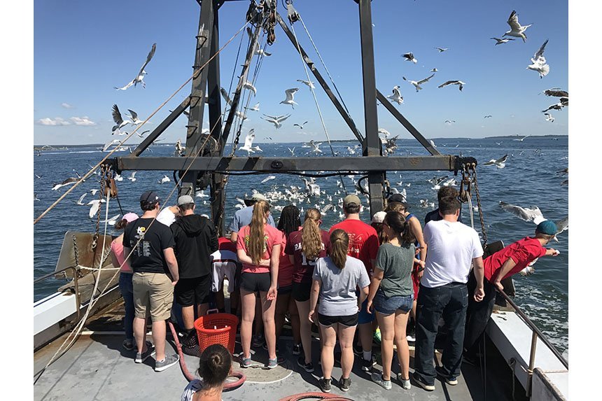 Marine Biology Camp | Roger Williams University