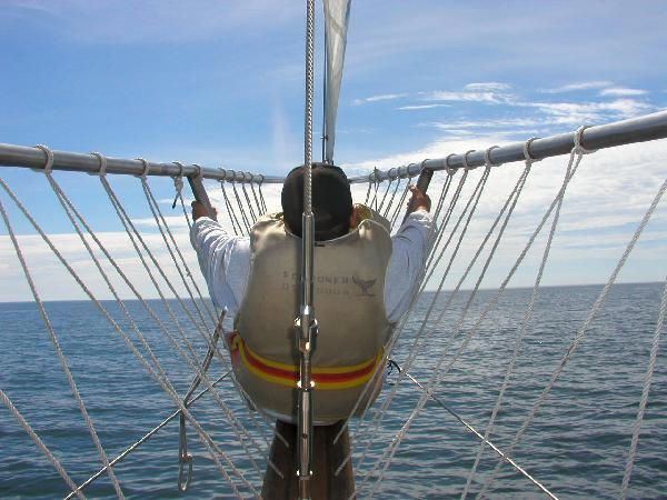 Marine Biology Camps, Science Summer Camp, Marine Biology Summer Camps