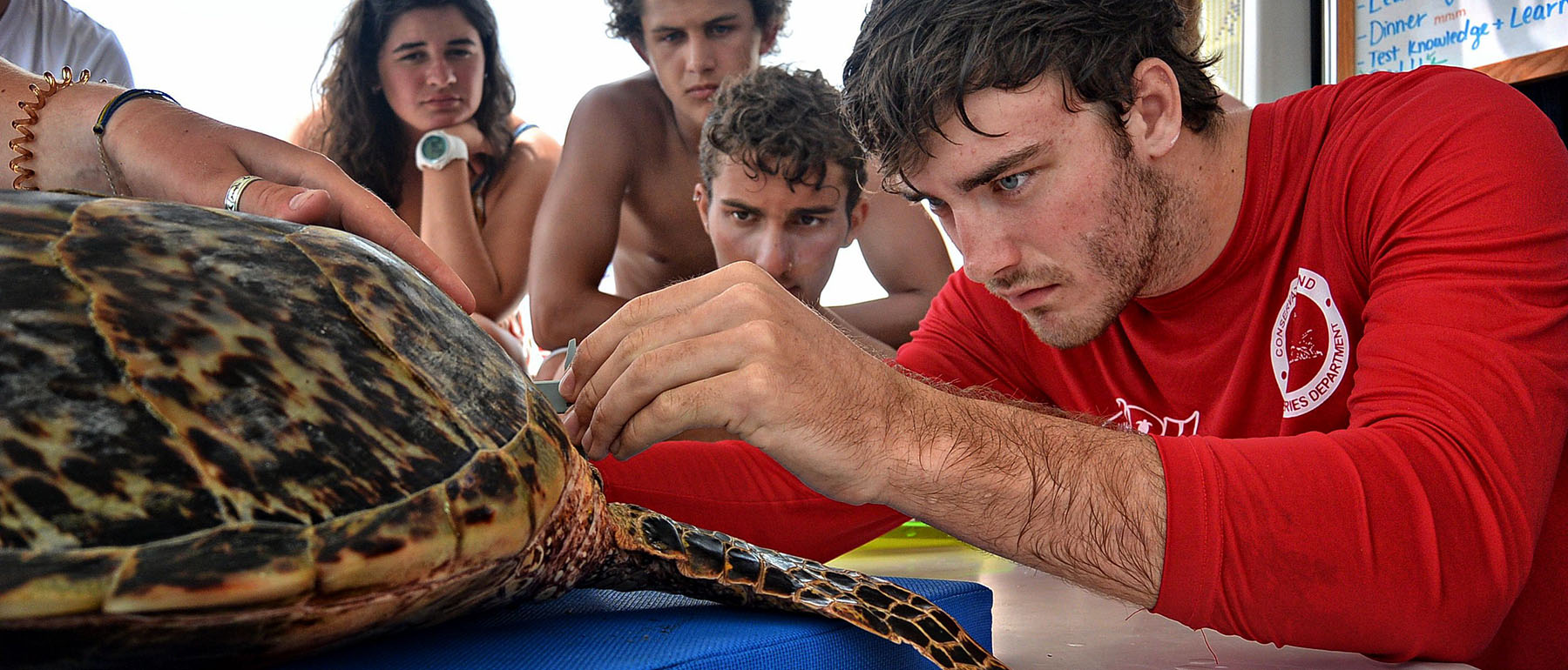 Teen Marine Biology Camp At Sea-Marine Science|SeaTrek BVI
