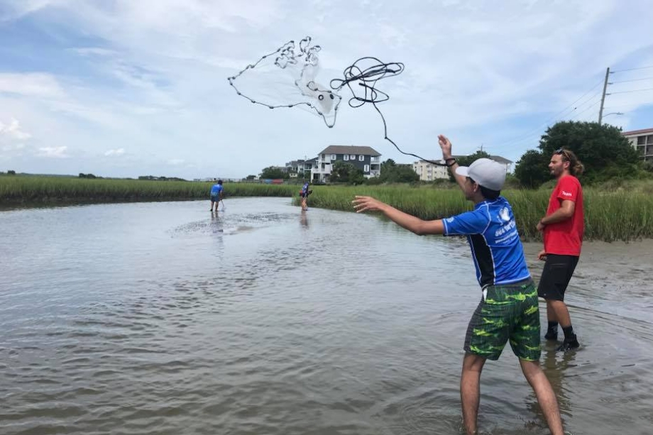 Marine Biology Summer Camp Programs in NC - Sea Turtle Camp