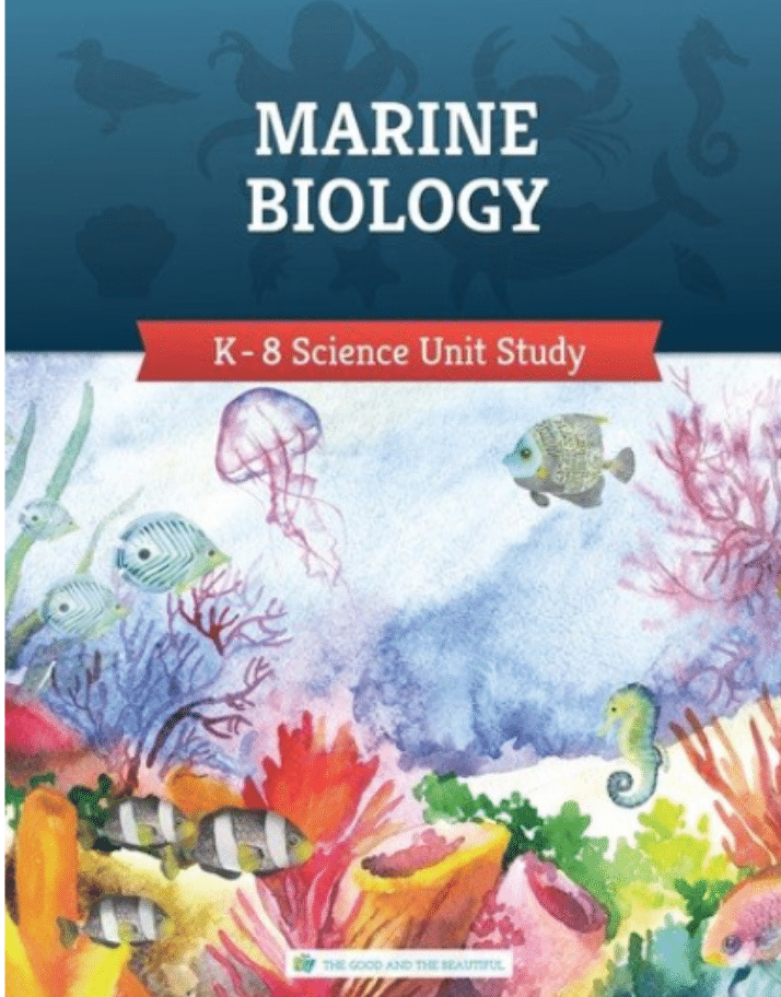 FREE Marine Biology Curriculum | Biology curriculum, Biology units