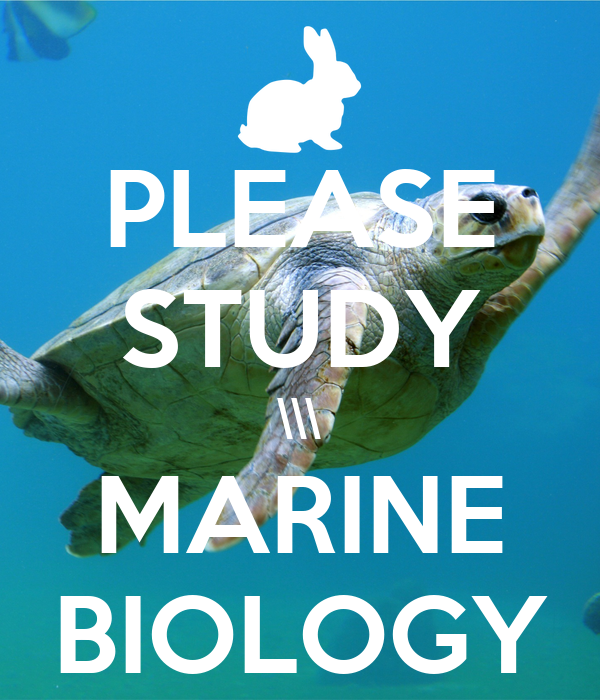 PLEASE STUDY \\\ MARINE BIOLOGY Poster | Jonathn | Keep Calm-o-Matic