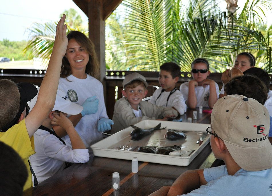 Florida Fantasy Fishing Camp Inc | Kids fishing, Camp overnight, Marine