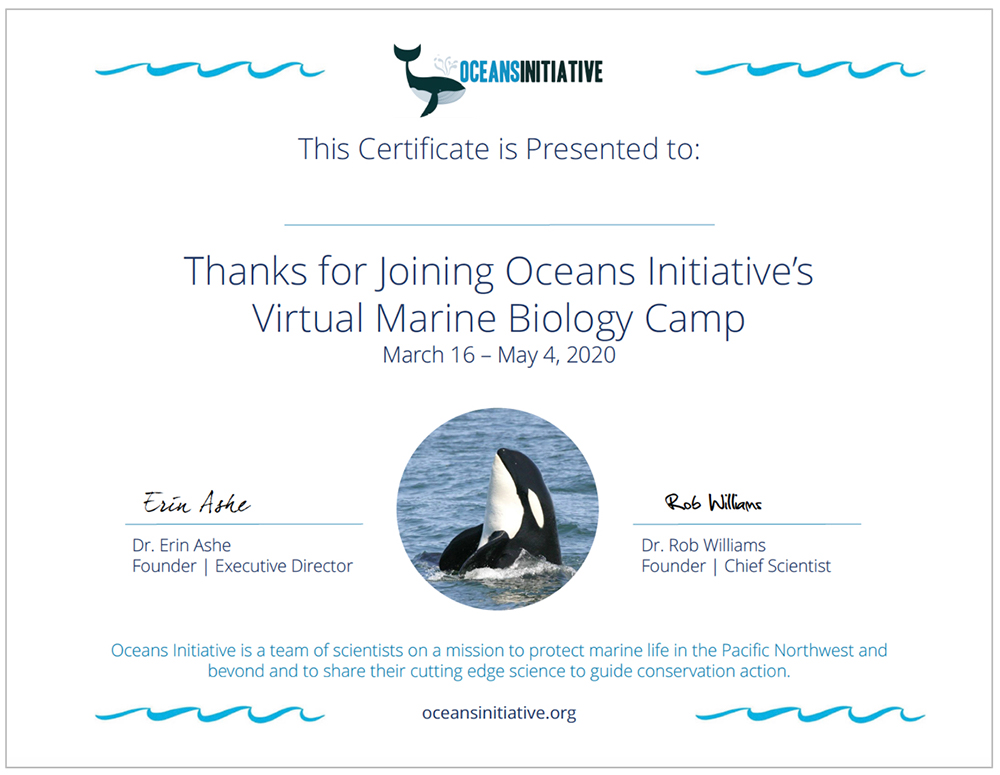 Marine-Biology-Camp-Certificate1000x775 | Oceans Initiative Oceans