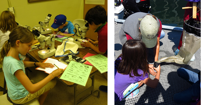 PTMSC Blog : Marine Biology Camp