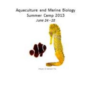 Florida Institute of Technology offers Vero Beach marine biology summer
