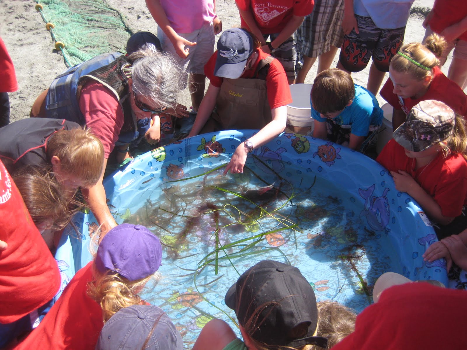 PTMSC Blog : Marine Biology Day Camp