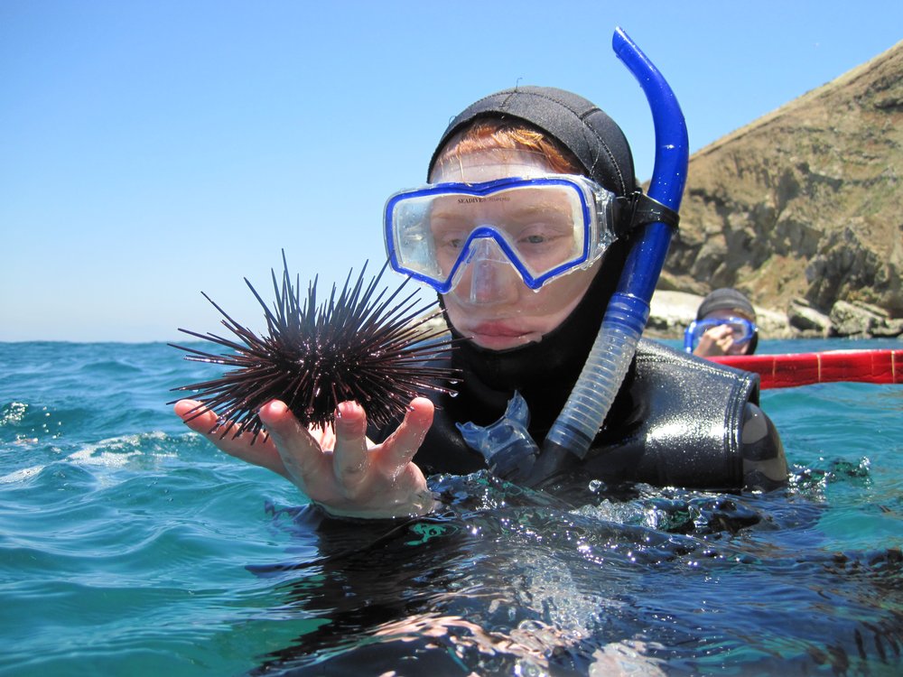 25 Great Summer Camps in the South – Top Education Degrees