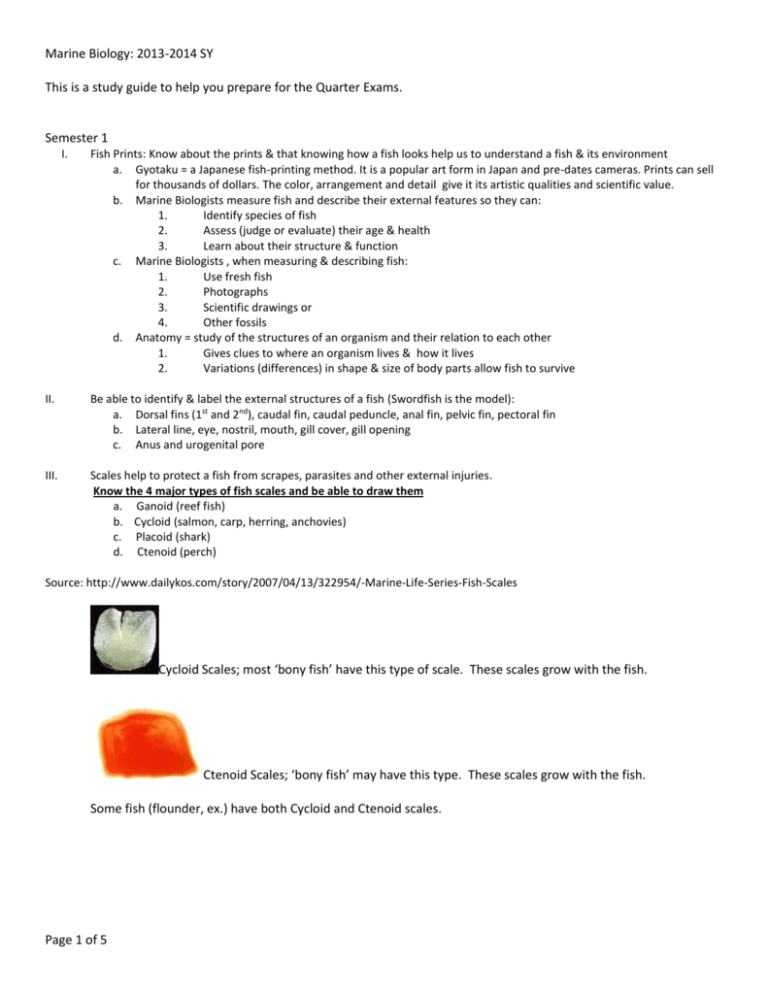 Marine Biology Study Guide