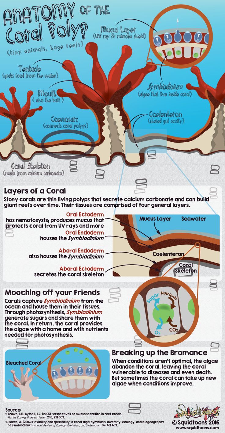 Biology Jobs: List Of Marine Biology Jobs