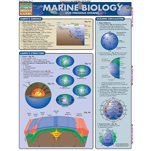 Marine Biology Study Chart | $5.99