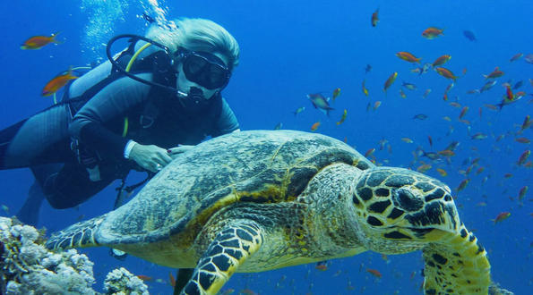 Marine Biology Subject Guide