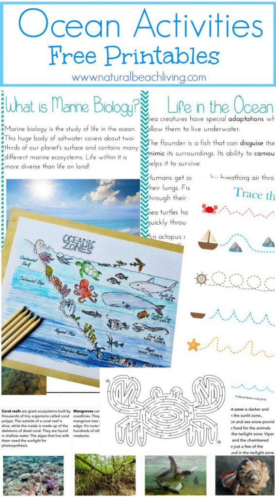 Download a Free Marine Biology/Ocean Unit Study Guide – Lesson Plans