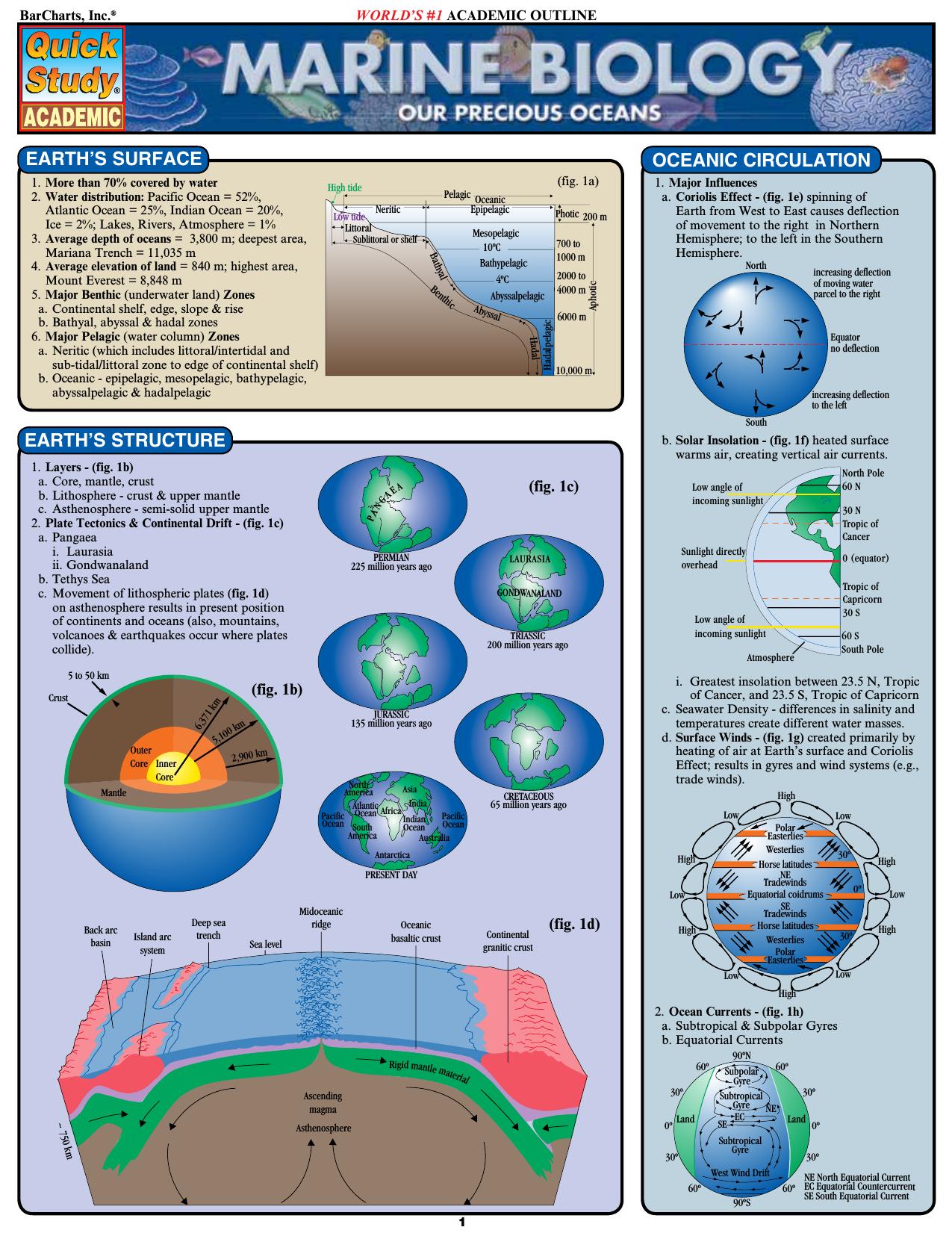 Marine Biology (Quick Study Academic) / AvaxHome