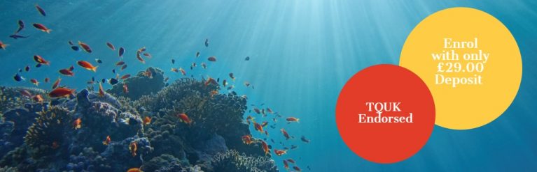 Animal Care Courses Online | Home Learning - UK Open College