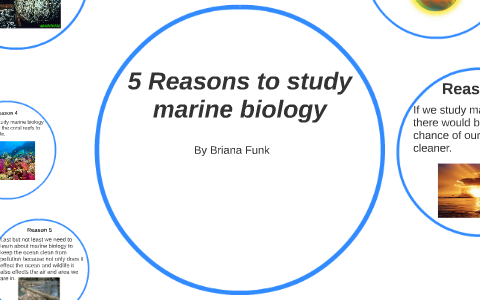 5 Reasons to study marine biology by Briana Funk