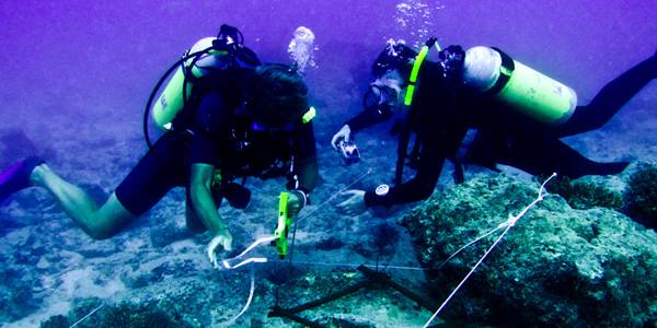 BSc Marine Biology - Marine Biology Degree | University of Essex