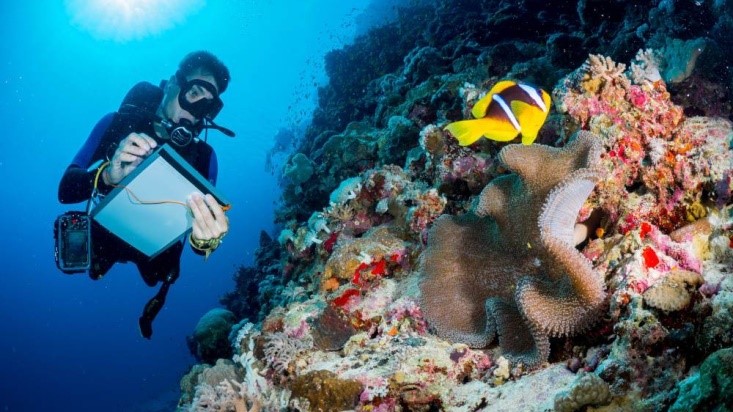 study marine biology research | Ocean Life Education