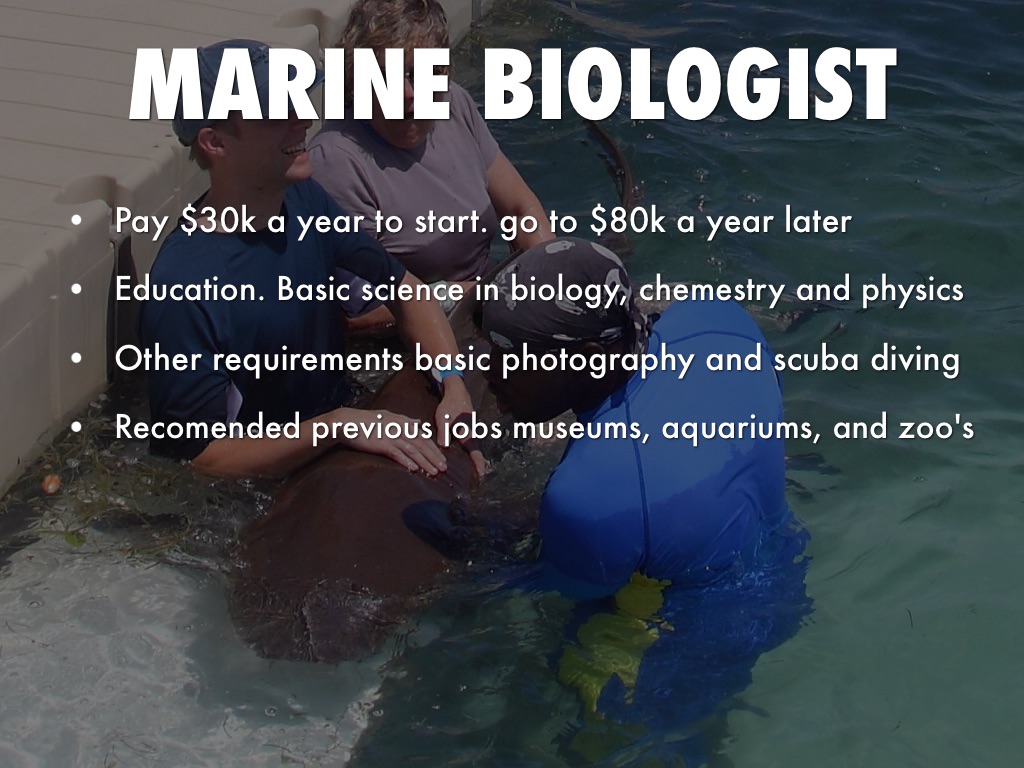 Copy of Title by 661613