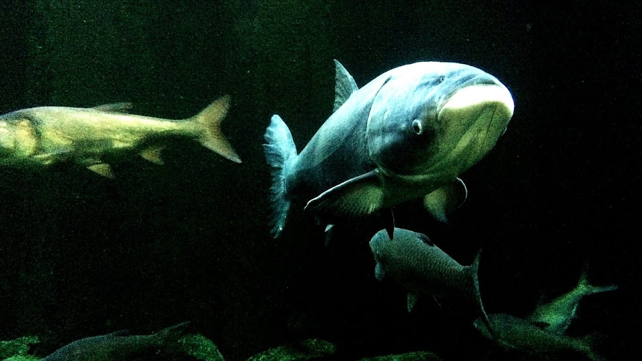 Marine Biology Colleges In Michigan - Marine Choices