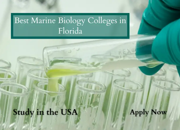 Best Marine Biology Colleges in Florida - FreeEducator.com