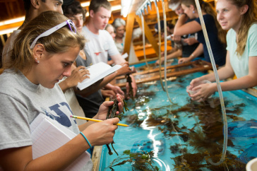 Marine Biology Bootcamp | UNH Today