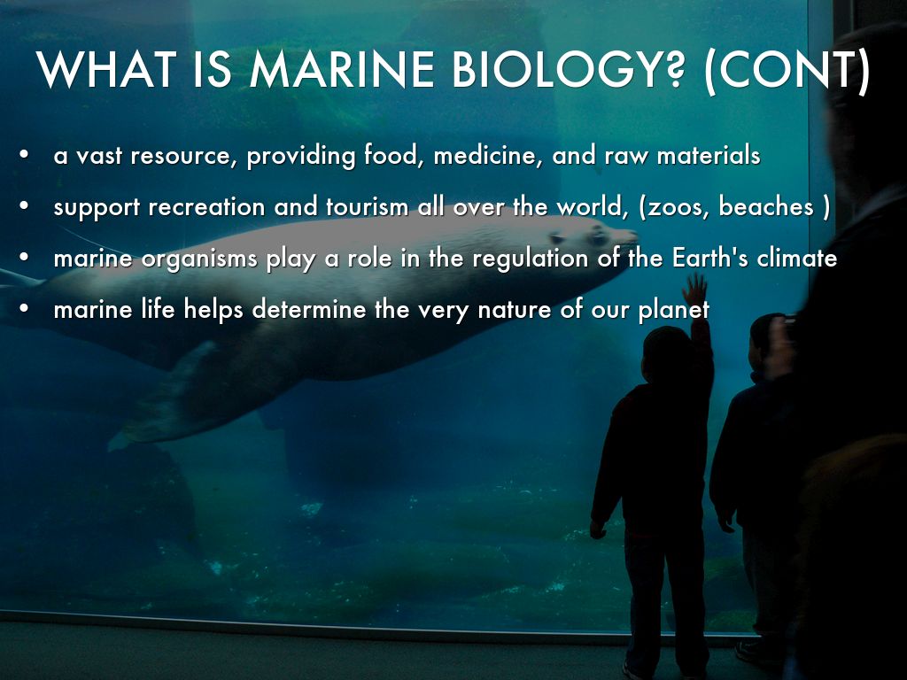 Marine Biology by Kat M