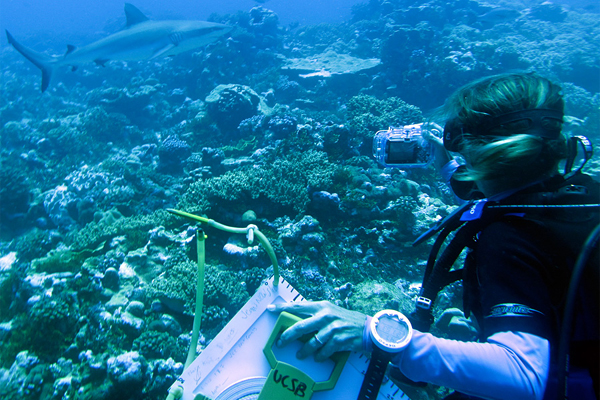 👍 Marine biology research topics. Hot Topics in Marine Biology and