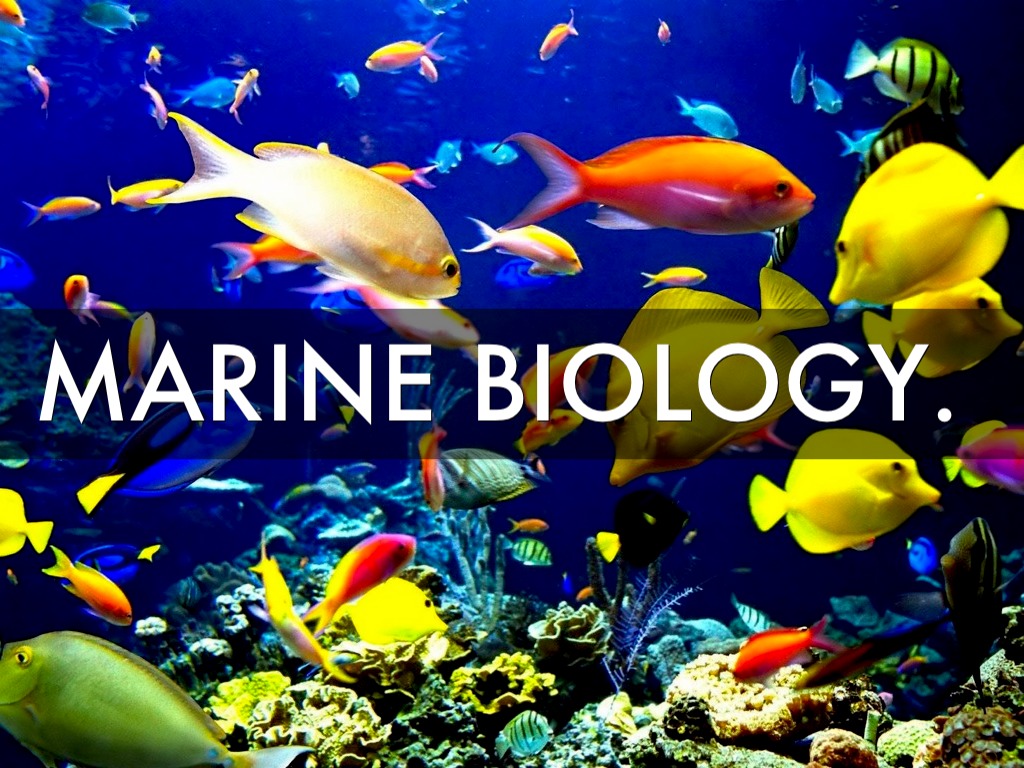 Marine Biology Spots Still Available