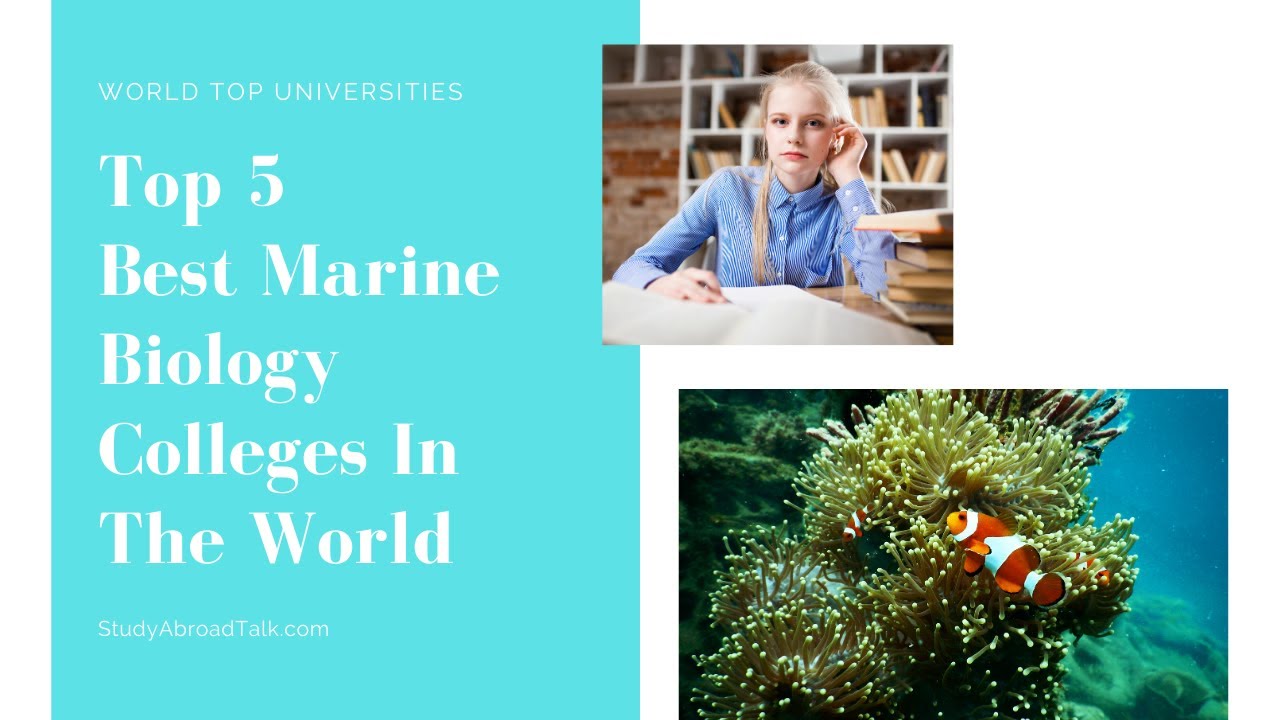 perfsolutionsbydesign: What Colleges Are Good For Marine Biology