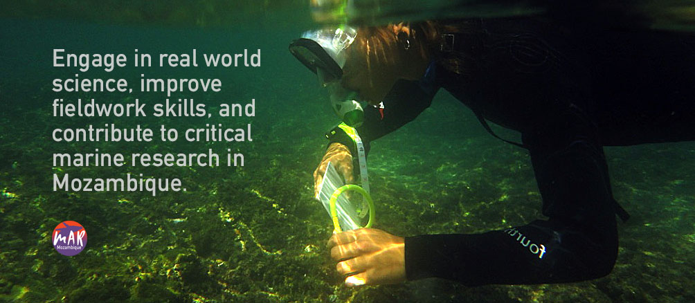 Internships - MAR Expeditions