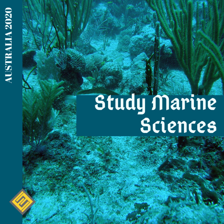 best universities to study marine science Archives - Excel Education