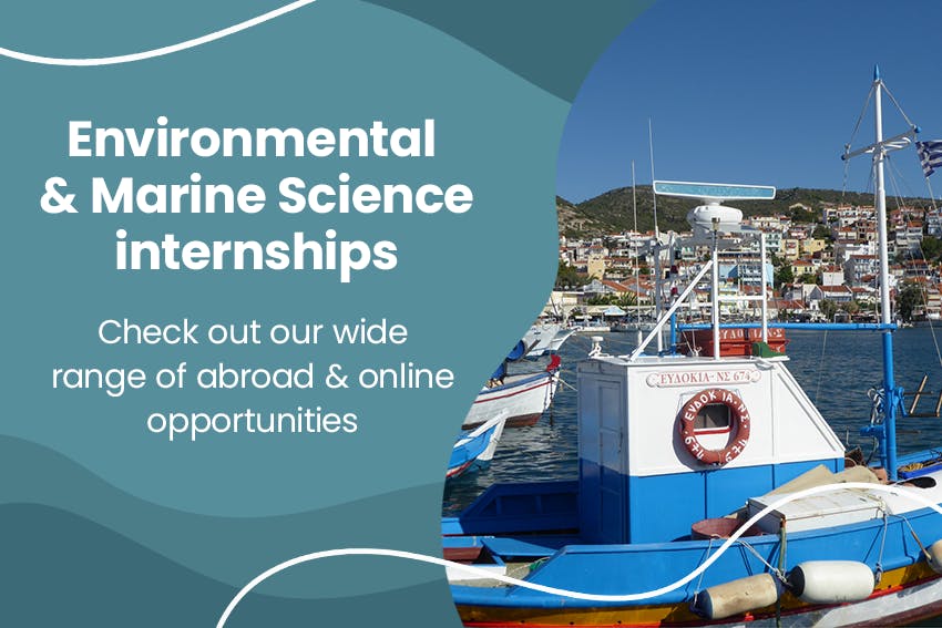 My Remote Marine Science & Conservation Internship | Intern Abroad HQ